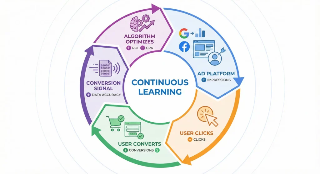 Marketing platform conversion feedback loop showing how conversion tracking enables algorithmic optimization through continuous learning