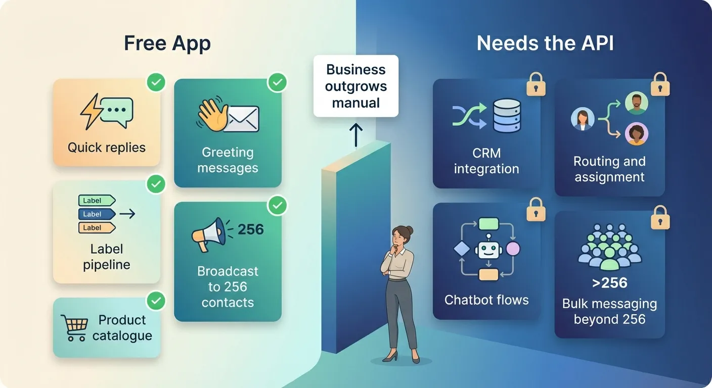 Split illustration showing what the free WhatsApp Business App handles on the left versus what requires the API on the right, divided by a capability boundary